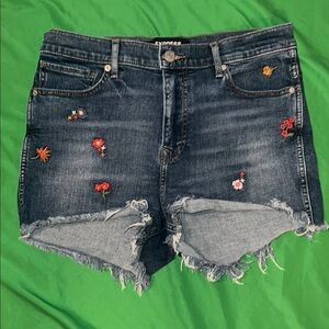 Express Embroidered Denim Shorts size 10